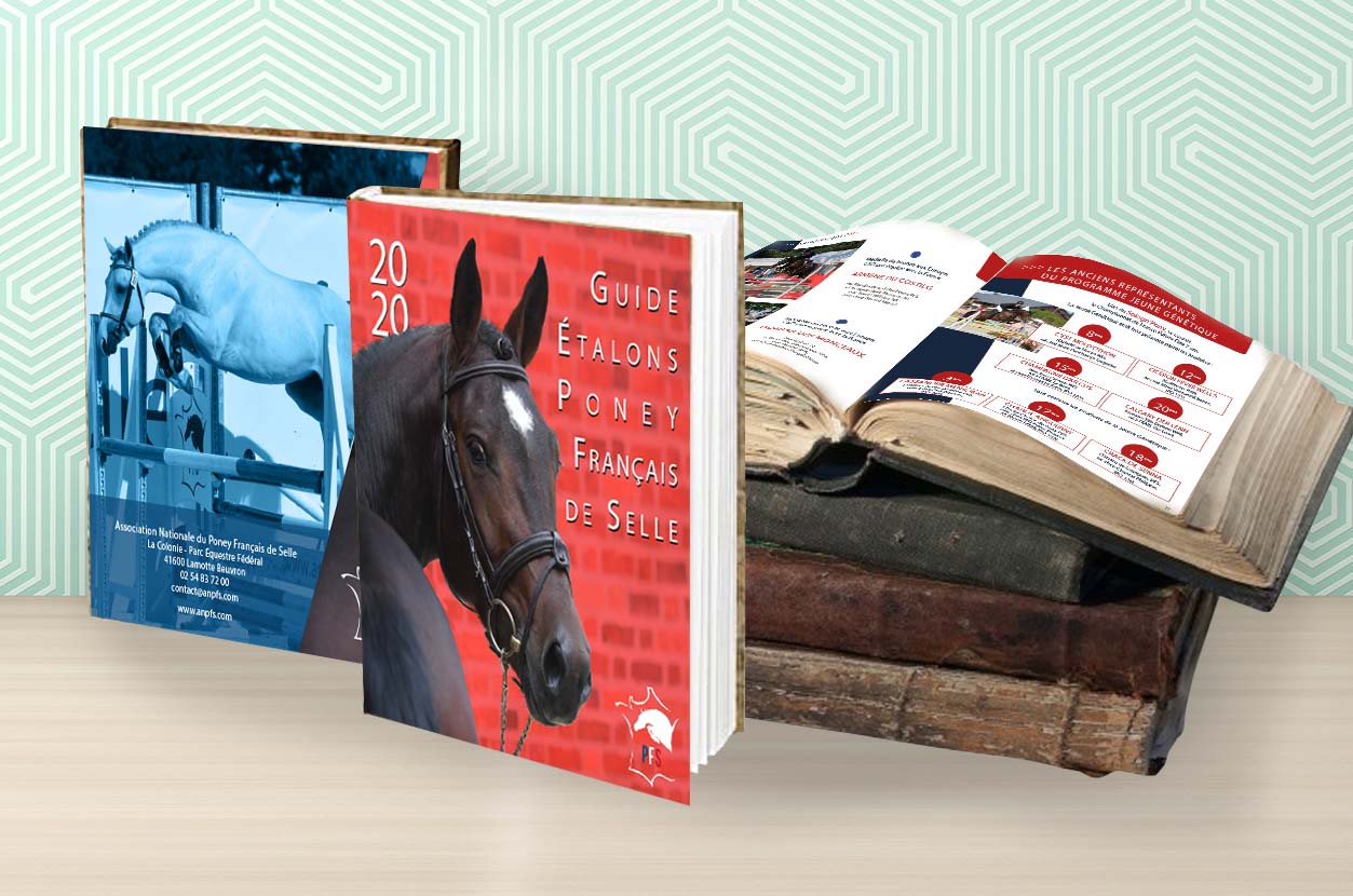 Formations  PAO Infographie  à , La Roche-sur-Yon 85, Angers 49 